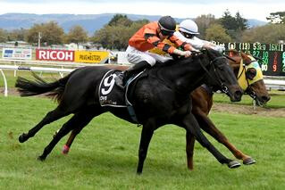Rock on Wood (NZ) claims the Anzac Mile at Awapuni. Photo Cred: Race Images PNth